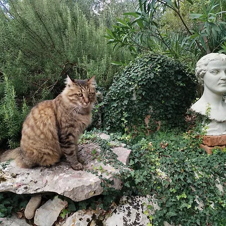 The Forest House Krk 1 * Kras