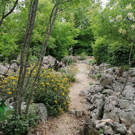 The Forest House Krk 1 Apartment