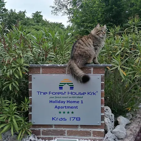 The Forest House Krk 1 Apartment Kras