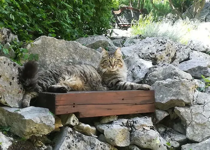 The Forest House Krk 1 Διαμέρισμα Kras