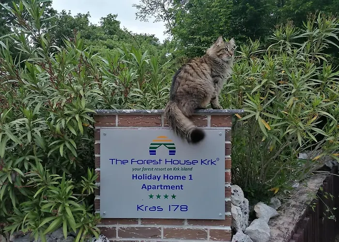 The Forest House Krk 1 Διαμέρισμα Kras