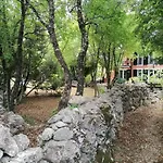 The Forest House Krk 1